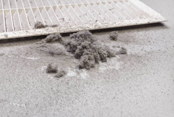 Best Affordable Duct Cleaning Services  in Hawaiian Ocean View, HI